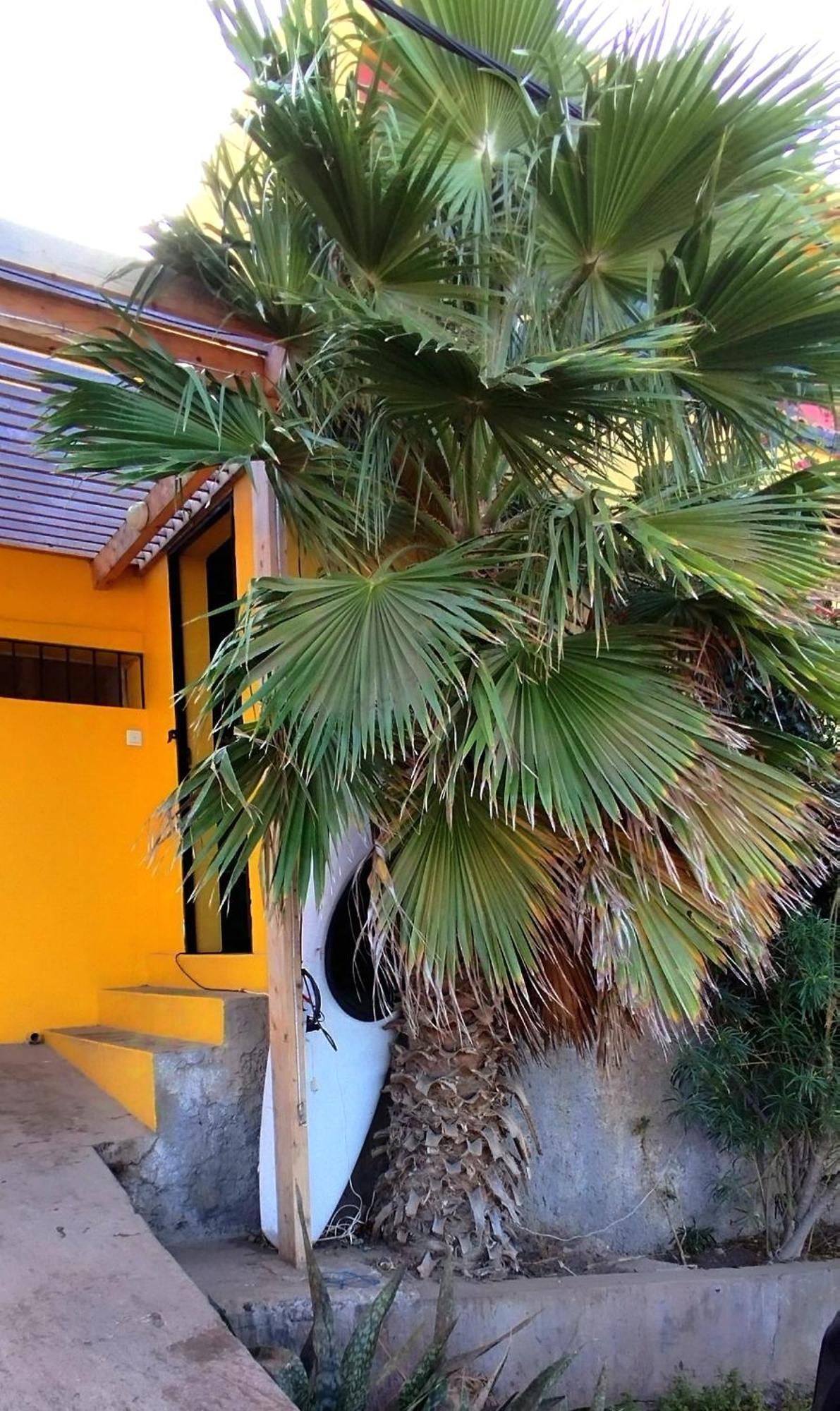 Rose'S Place Mindelo Exterior foto